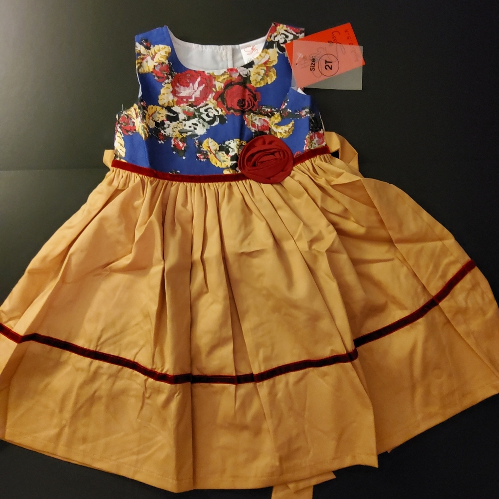 Girls Empire Waist Dress